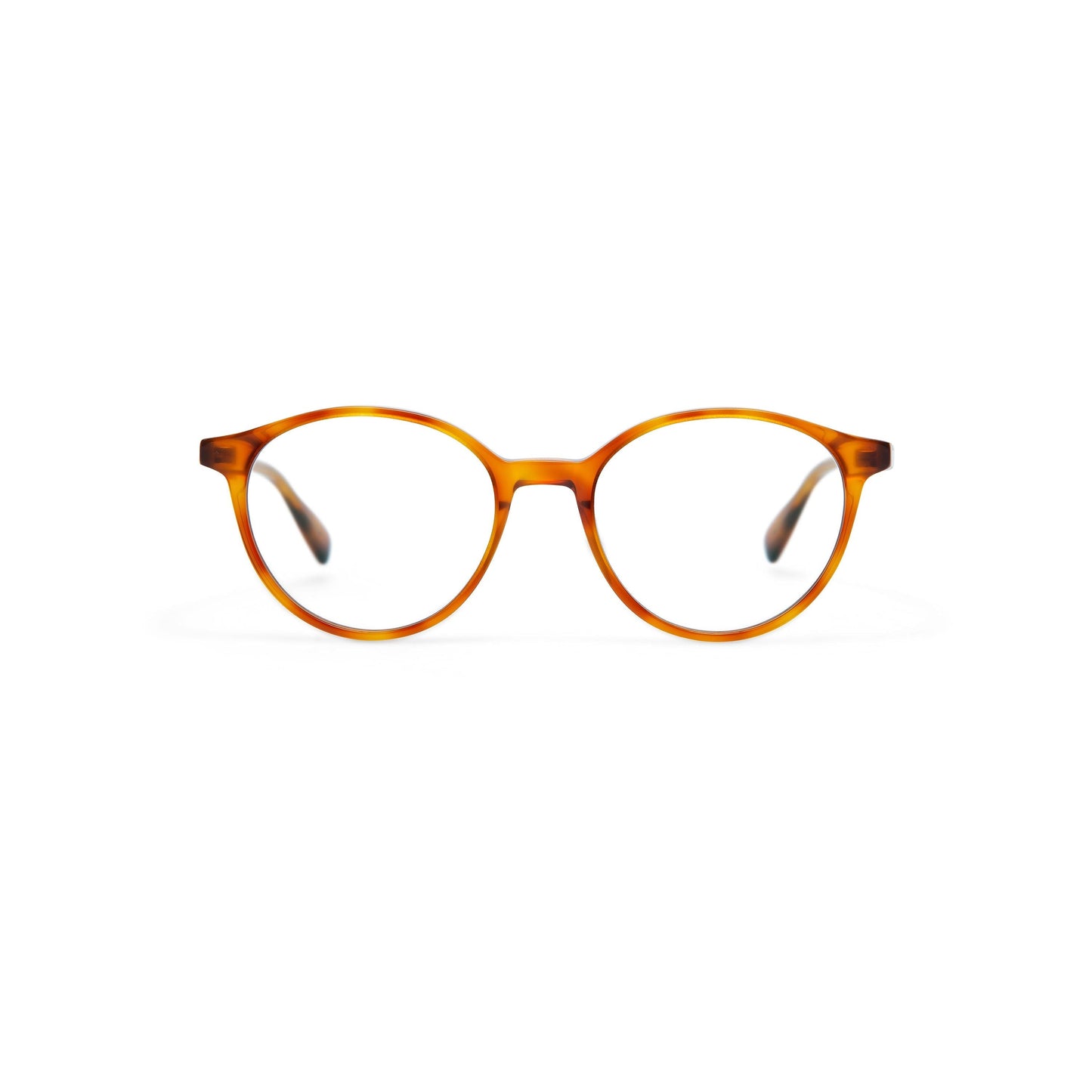 Brooks Light Havana Large
