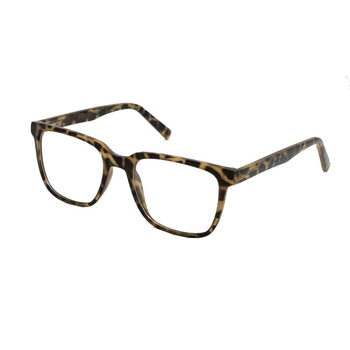 3080 Tortoise