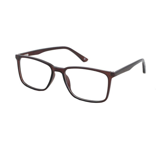 3093 Brown